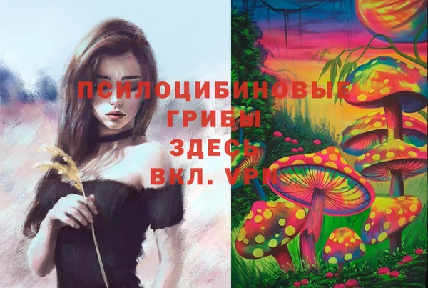 a pvp Переславль-Залесский