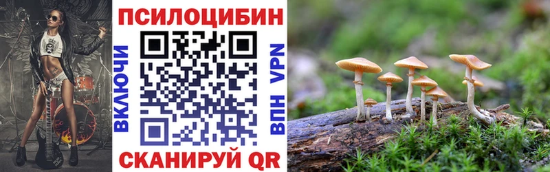 купить наркотики сайты Пойковский Галлюциногенные грибы Cubensis